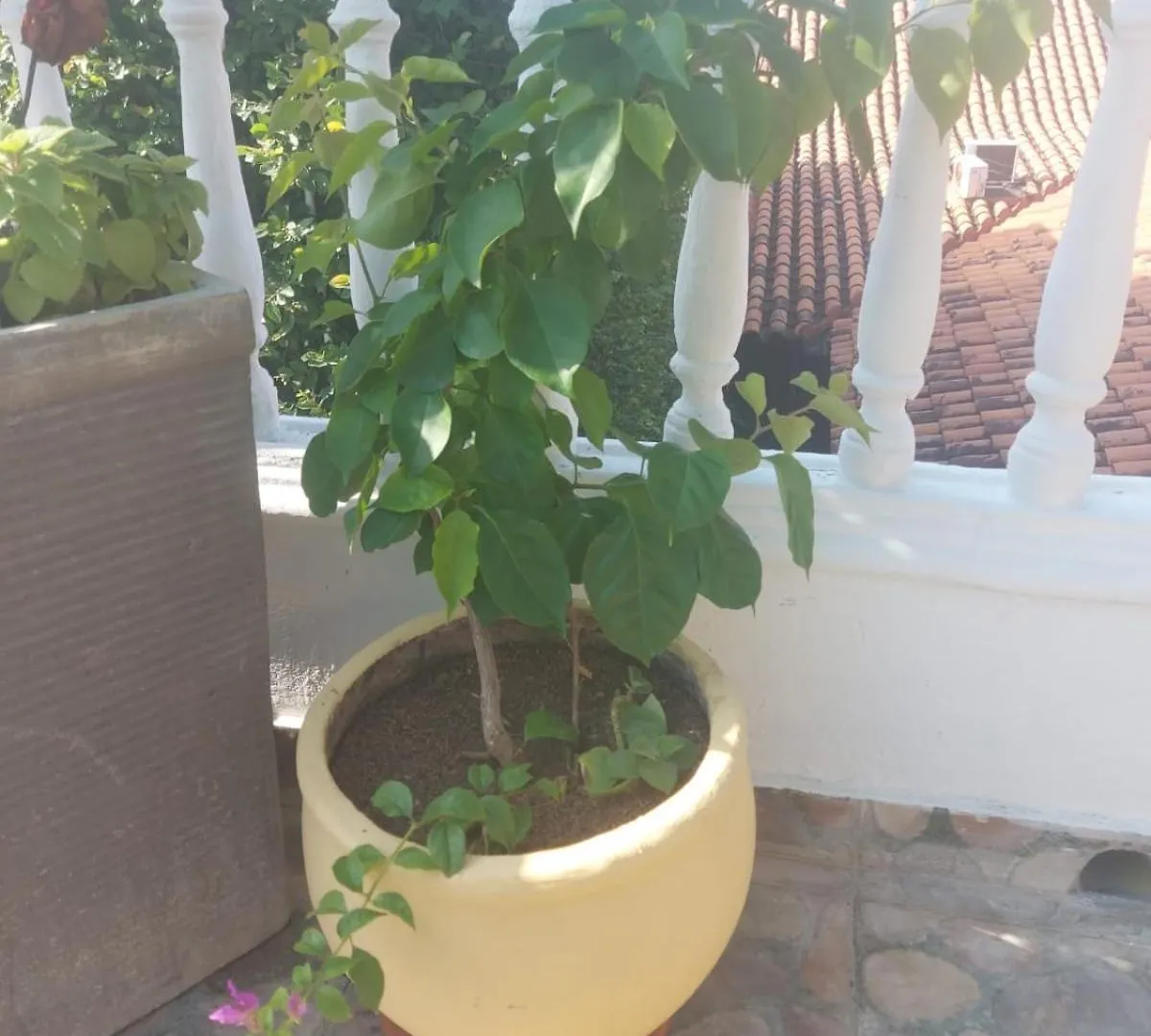 Zana Hotel Boutique Cartagène 3*,